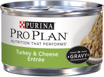 Purina Pro Plan Turkey & Cheese Entrée In Gravy